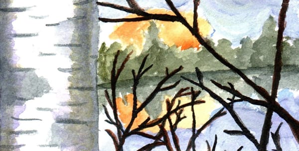 A watercolor painting of a birch tree by a lake with the sun setting behind some trees. 