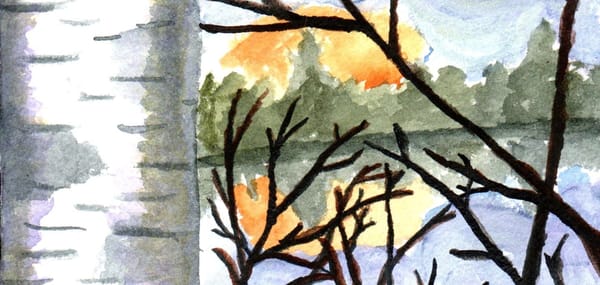 A watercolor painting of a birch tree by a lake with the sun setting behind some trees. 