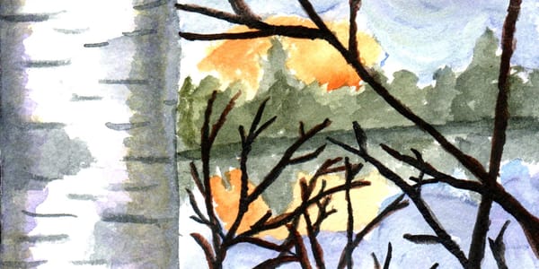 A watercolor painting of a birch tree by a lake with the sun setting behind some trees. 