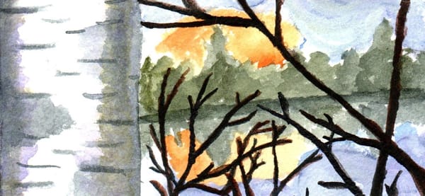 A watercolor painting of a birch tree by a lake with the sun setting behind some trees. 