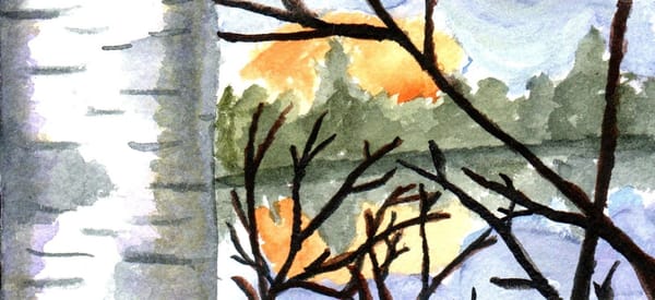 A watercolor painting of a birch tree by a lake with the sun setting behind some trees. 