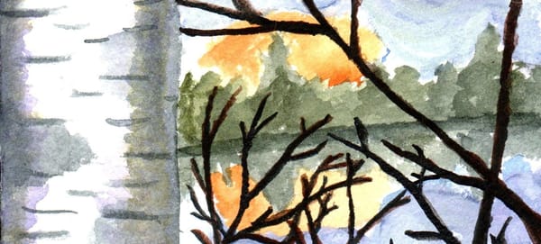 A watercolor painting of a birch tree by a lake with the sun setting behind some trees. 