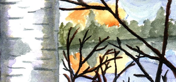 A watercolor painting of a birch tree by a lake with the sun setting behind some trees. 