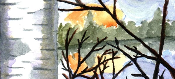 A watercolor painting of a birch tree by a lake with the sun setting behind some trees. 